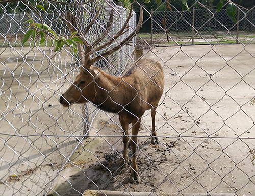 不銹鋼圍網(wǎng)